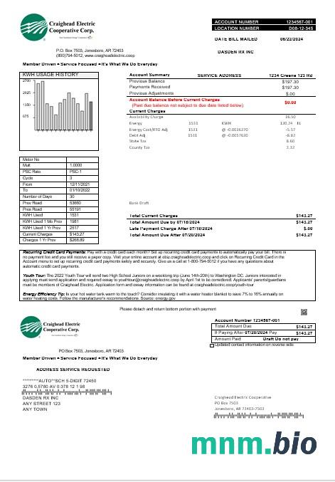 USA Craighead electric rachunek za usługi komunalne szablon w formacie Word i PDF